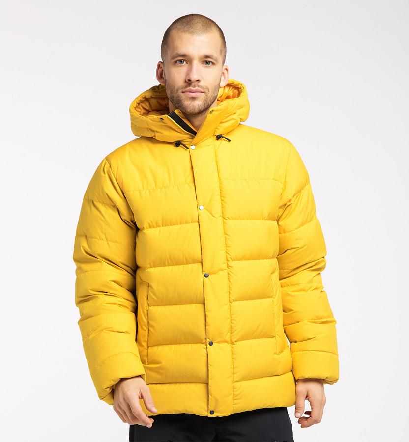 Haglöfs Mens Näs Down Jacket Yellow New Zealand 87025CMZS